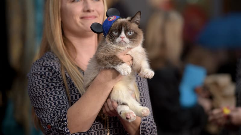 Grumpy Cat était à la première du nouveau Disney Cendrillon à Los Angeles dimanche.