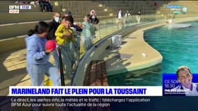 Marineland fait le plein pour la Toussaint, malgré les controverses