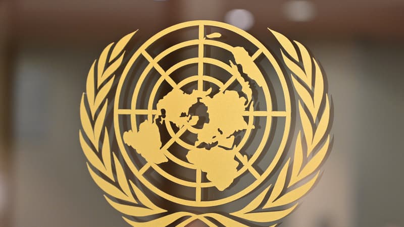 Les Nations unies (PHOTO D'ILLUSTRATION)