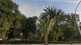Le Parc Vigier à Nice 