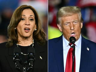 Kamala Harris et Donald Trump tiennent chacun un meeting, en Pennsylvanie, la première le 29 octobre, le second le 30 octobre 2024