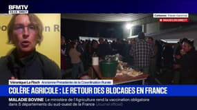 Dermatose bovine: "La France peut revenir à une politique d'abattage sélective uniquement pour les animaux gravement malades", dit Véronique Le Floch, ancienne Présidente de la Coordination Rurale