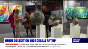 Nord: début de l'édition 2024 de Lille Art Up au Grand palais