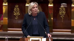 Réforme des retraites: Marine Le Pen dénonce "l'autoritarisme aveugle du gouvernement"
