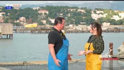 Au cœur de la Seyne-sur-mer : l’aquaculture à La Seyne-sur-Mer 