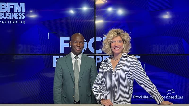 AltEmploi, Une plateforme de recrutement innovante à travers l'Afrique
