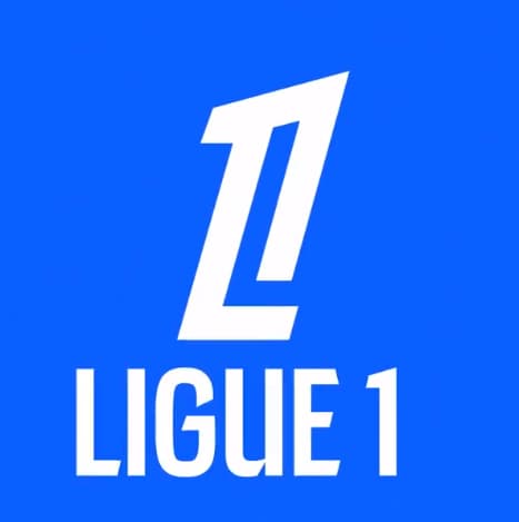 Het nieuwe logo van de Franse Liga voor het seizoen 2024-2025