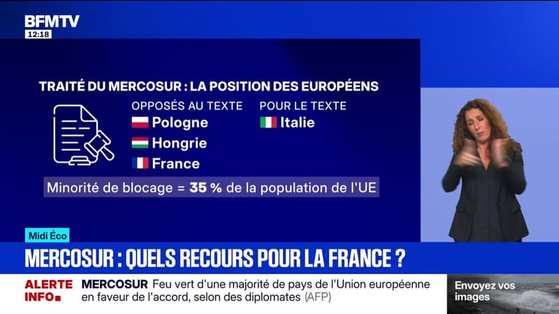 Les ambassadeurs d'une majorité de pays de l'Union européenne approuvent l'accord avec le Mercosur, malgré l'opposition de la France