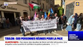 Toulon: des manifestants réunis pour la paix en Israël et en Palestine