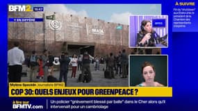 Réchauffement climatique: maintenir le cap des 1,5°C est "un impératif" pour Greenpeace France