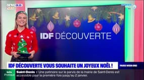 IDF Découverte spéciale Noël : La Sainte-Chapelle & le Château de Breteuil 