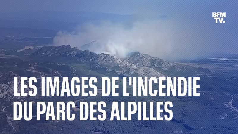 Les images de l'incendie qui a ravagé une centaine d'hectares dans le parc des Alpilles
