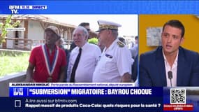 Propos du Premier ministre sur l'immigration: "Il a annoncé certaines choses qui ne vont pas du tout dans ce sens-là", déclare Aleksandar Nikolic (RN)