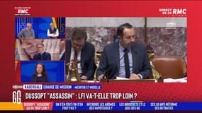 "J'adore l'Assemblée Nationale actuelle !", salue Kaderdalie