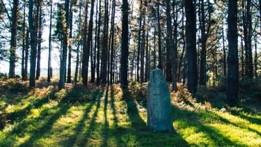 Un menhir a blessé une fillette, en Bretagne (photo d'illustration)