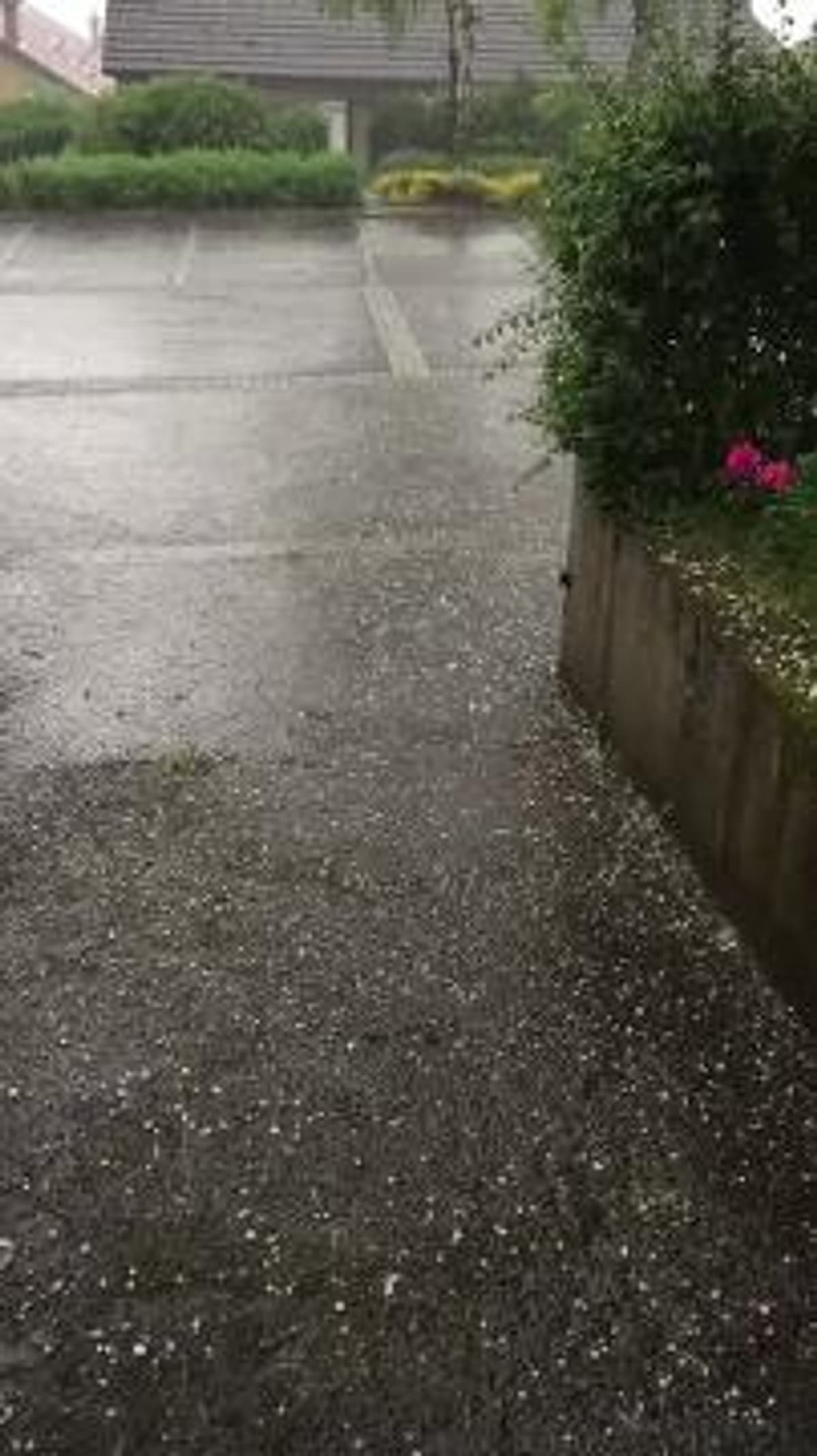 placeholder video