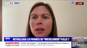 "Mexicanisation de la France": "On attend du ministre de l'Intérieur des actes et pas seulement des bons mots dans les médias", fustige Lisa Belluco (Les Écologistes)