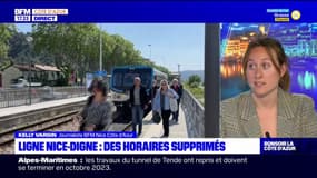 Travaux, horaires supprimés... La ligne de train entre Nice et Digne-les-Bains inquiète les cheminots et riverains