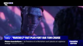"Avatar 2", film le plus vu de l'année en France avec plus de 6,8 millions de spectateurs en deux semaines