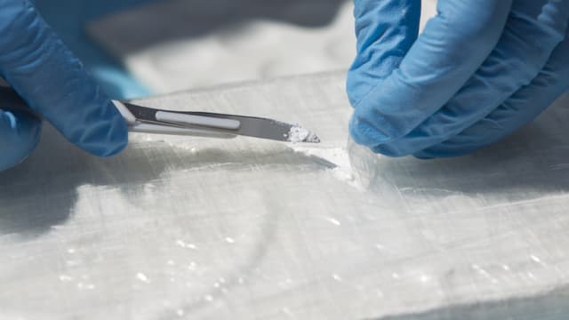 De la cocaïne. (photo d'illustration)