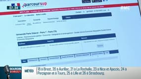 Manifestation lycéens: "Parcoursup c'est un stress supplémentaire pour le baccalauréat""