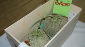 Deux melons Yubari se sont vendus pour la somme record de 3,2 millions de yens lors d'enchères à Sapporo le 26 mai 2018