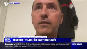 Incendie à Tenerife: "On a l'ensemble des caractéristiques de complexité d'un feu", pour Sylvain Besson (porte-parole des sapeurs-pompiers de France)