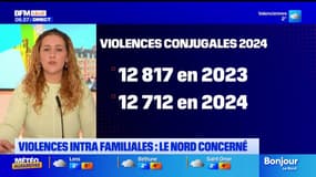 Violences intrafamiliales, drogue, sécurité routière: les chiffres dans le Nord en 2024