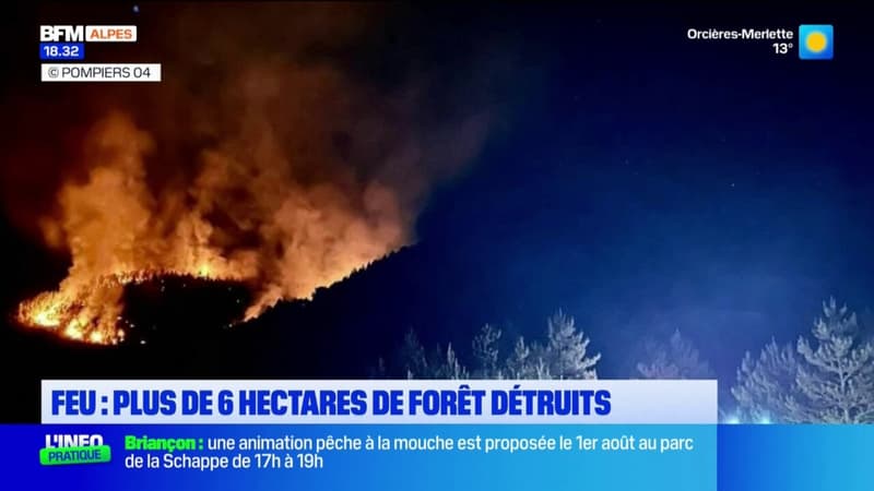 Alpes-de-Haute-Provence: un incendie parcourt plus de 6 hectares de forêt à Vergons, le feu désormais fixé