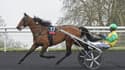Face Time Bourbon sur les traces de Jamin