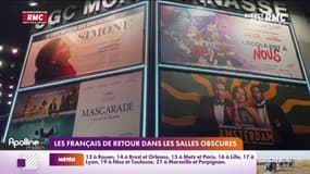Les Français de retour dans les salles obscures