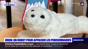 Bron: un robot pour apaiser les pensionnaires d'une maison de retraite