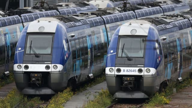 Le trafic TER est perturbé en Auvergne-Rhône-Alpes ce mardi.