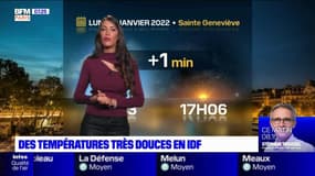Météo Paris-Île-de-France du 3 janvier : Des températures très douces ce lundi