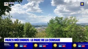 Lyon: à la découverte du parc de la Cerisaie