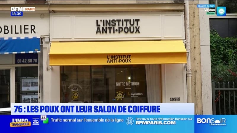 Paris: les salons spécialisés dans la lutte contre les poux plébiscités par les parents