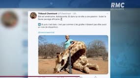 Une adolescente pose avec la girafe qu’elle vient de tuer et provoque l’indignation