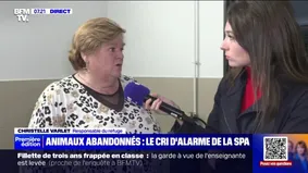 "Ils n'ont plus d'argent pour les nourrir": une responsable d'un refuge pour animaux témoigne d'une hausse des abandons