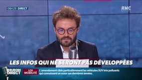La multiplication des activités touristiques pour chiens, une verbalisation pour beauté excessive et une indemnisation pour tâches ménagères: les infos que vous n'entendrez pas ailleurs