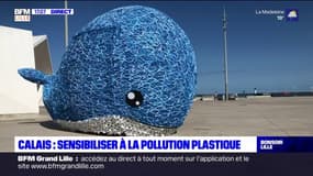 Calais: une baleine pour sensibiliser à la pollution plastique sur les plages
