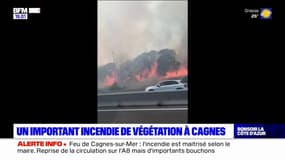 Cagnes-sur-Mer: un important incendie de végétation près de l'autoroute A8