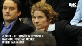 Justice - Le champion olympique Gwendal Peizerat accuse Didier Gailhaguet