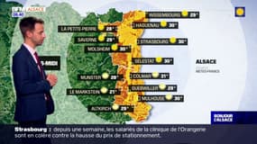 Météo Alsace: journée ensoleillée avec des températures élevées