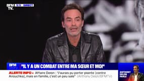 Héritage Delon: "On s'en fout d'être taxés", affirme Anthony Delon en parlant de son frère et lui