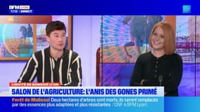 Salon de l'agriculture: le succès de la Distillerie de Lyon