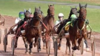 Les pronos hippiques du lundi 18 juillet 2022