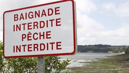 Plage de Bretagne interdite à cause de la présence d'algues dont les émanations peuvent se révéler toxiques. Les algues vertes ne peuvent être formellement incriminées après la découverte le 26 juillet de sangliers morts sur une plage des Côtes-d'Armor, s