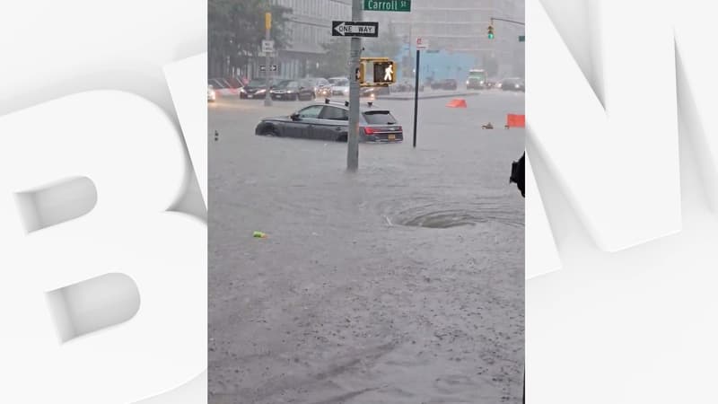 États-Unis: la ville de New York déclare l'état d'urgence en raison d'inondations massives