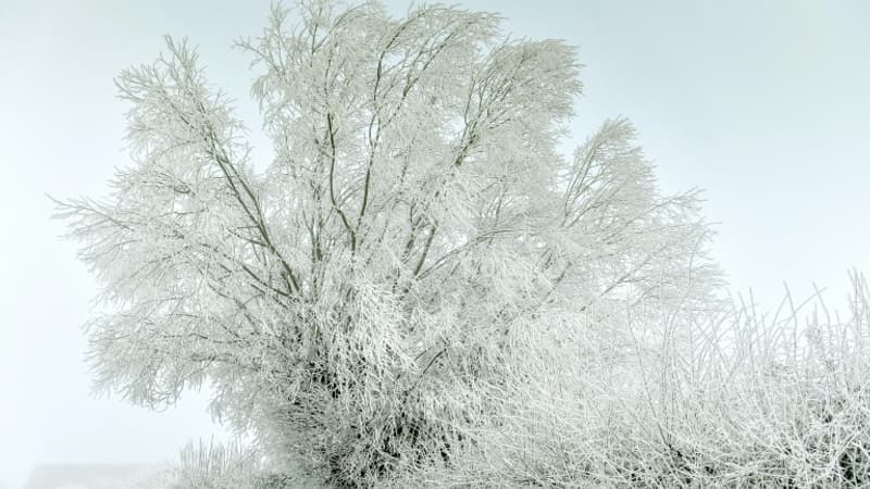 Qu'est-ce que l'hiver météorologique, qui commence ce jeudi?