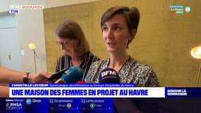 Le Havre: une maison des femmes en projet pour prendre en charge les victimes